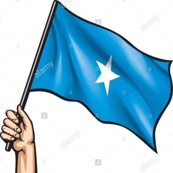 Meet your Posher, Nima - Picture 1 of 1